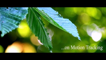 After Effects CS4 Motion Tracking Test