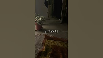 سورة المزمل ( ٢٠ ) هو خيرا و أعظم أجرا و استغفروا الله #شريف_مصطفى