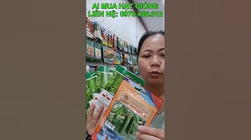 Hạt Giống Dưa Chuột Nhập Khẩu Thái Lan Hàng Hai Mũi Tên Đỏ , Bán Buôn Bán Lẻ Hạt Giống Toàn Quốc