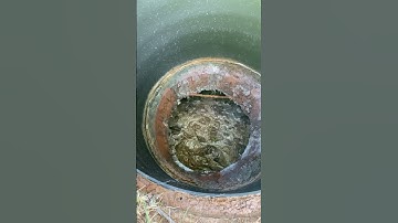 Septic Tank Backup: Why Did This Happen?
