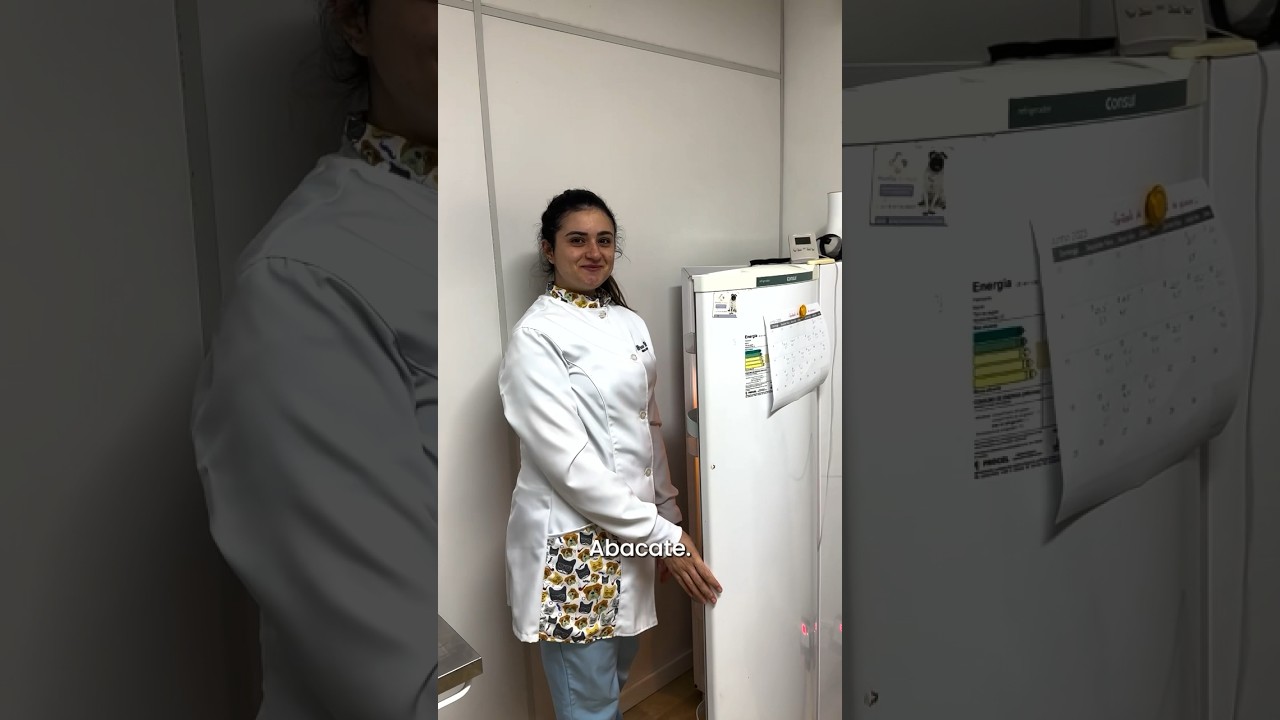 4 de setembro de 2023