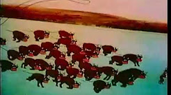 CARTOONS *MUTT & JEFF* BUD FISHER