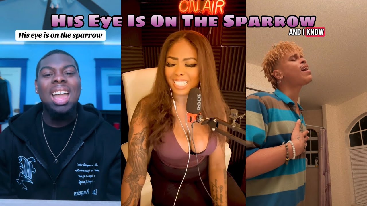 Лучшие обложки для TikTok под названием "Его взгляд прикован к воробью"