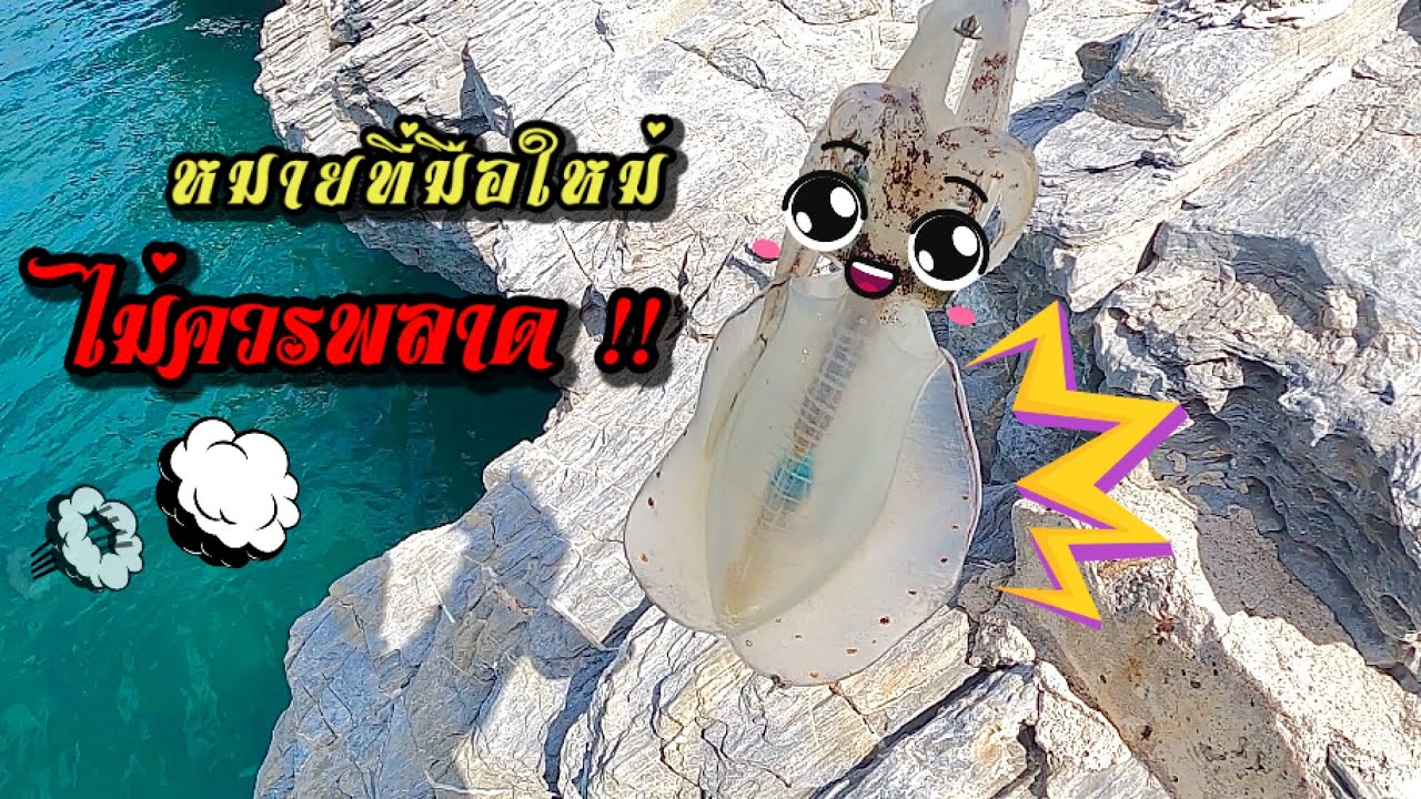 แนะนำทางเข้าหมายตกหมึกหมายเด็ดต้นๆบนเกาะสีชัง มือใหม่ไม่ควรพลาด#บักอึจะพาไป#ตกหมึกหอม