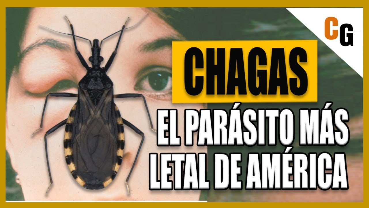 Mal de Chagas - El Parásito mas LETAL de América - ¿Cómo funciona la Tripanosomiasis Americana?: video thumbnail