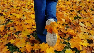 travelling - to enjoy beautiful autumn day, autumn walk ambience