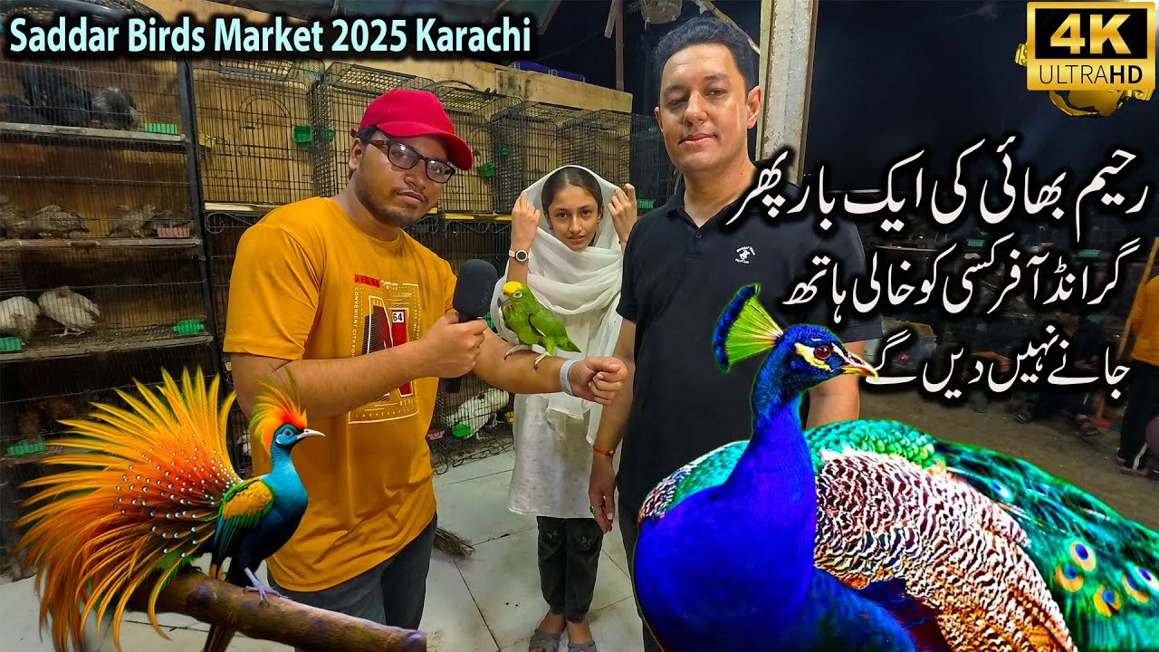 Saddar Exotic Birds Market 2025 Karachi | Grand Offer By Abdul Raheem Again this week