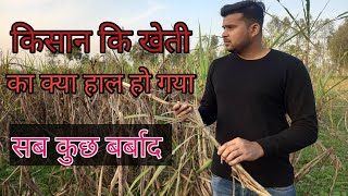 गांव में अन्नदाता किसानों की हालत /ese kya milega kishan ko #village #villagevlog #villagelifestyle screenshot 2
