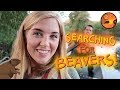 Searching for Beavers! (Part 1) | Maddie Moate