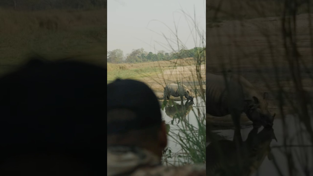 Tracking Down Rhinos on Foot! Watch full video on Endless Venture!
