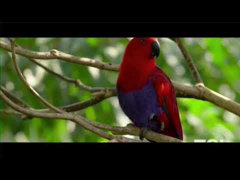 jo-khidakee-se-chehara-kavali-song-mp3