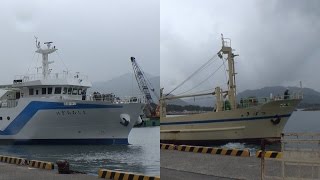 萩海運　萩港を同時出港するはぎおおしまとつばき2を撮ってみた
