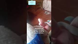 Q RESHIRAM É ESSE?!?!?! #mammott #bobettecult2026 #pokemon