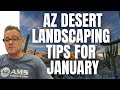 January landscaping tips in the arizona desert  amslandscaping