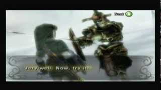 Covert Ops. | Zelda: Twilight Princess 100% Walkthrough 37/65 (No Commentary)