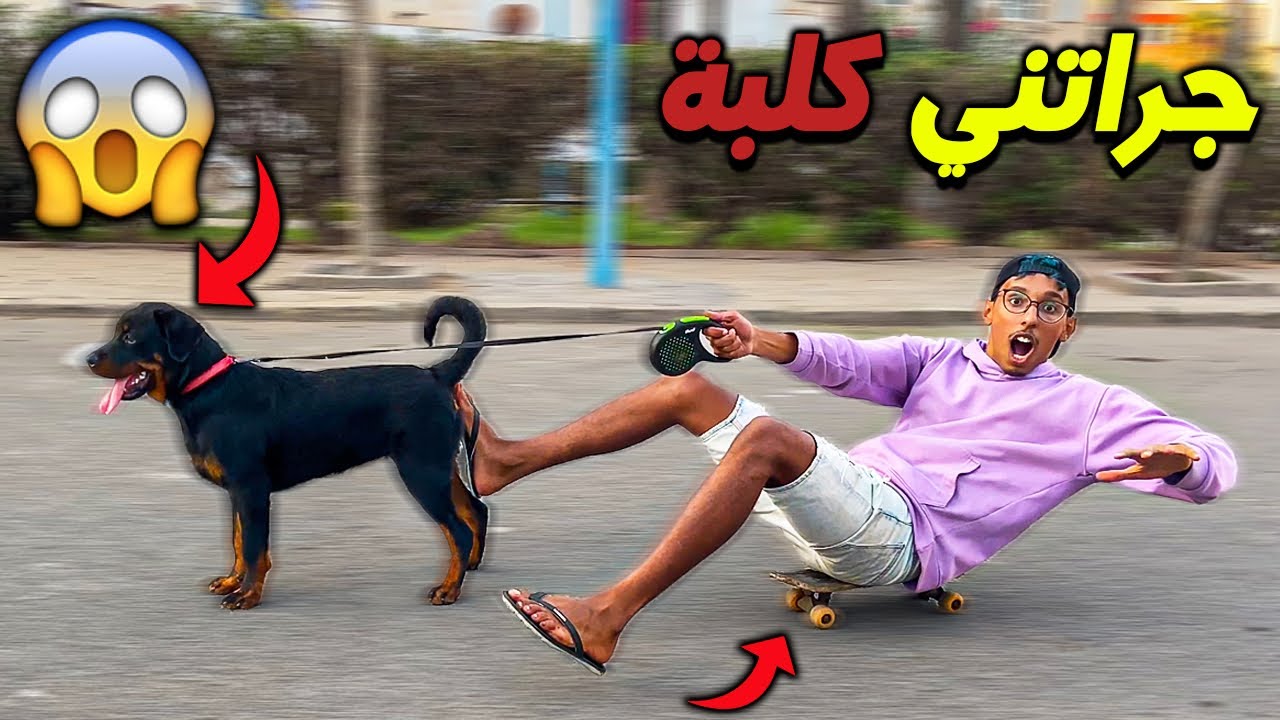 اخطر تحدي جرتني كلبة بالمزلجة😱🔥وقعات كارثة💔😭