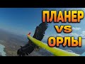 Орлы против FPV | Полет на ASW28