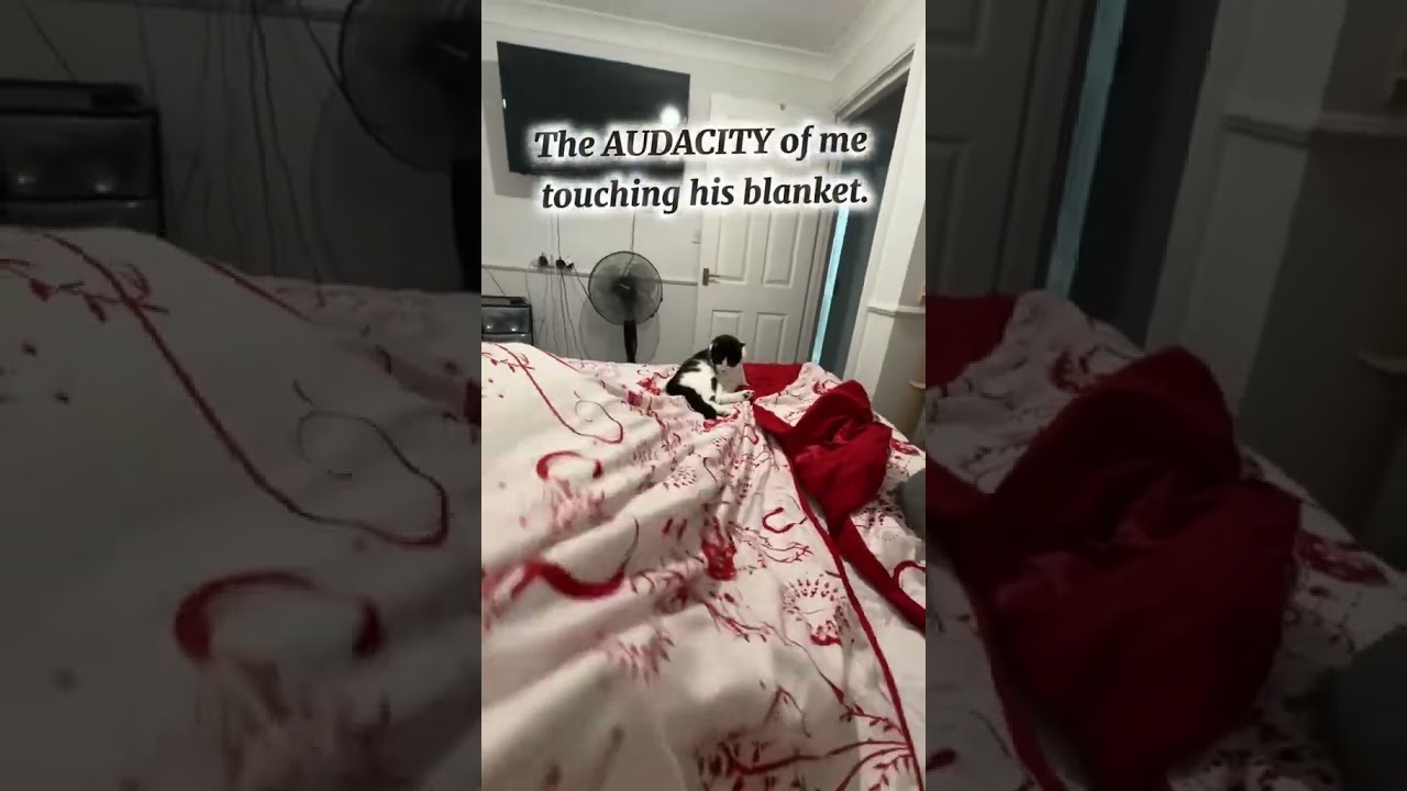 Mother, what are you trying to do? 😆 