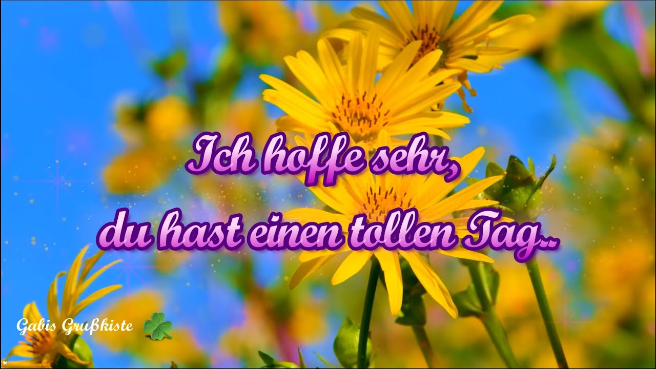 Hoffe Du Hattest Einen Schönen Tag Wünsche dir einen schönen Start in die Woche 🍀 kostenlose Grüße zum