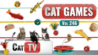 CAT Games | Ultimate Cat TV Compilation Vol 246 | 8 HOURS 🐝🐞🦋🦎🦜🐜🐭🧵