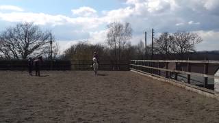 Flatwork Misty