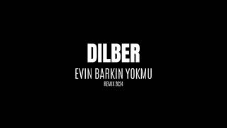 Remix - Dilber Evin Barkin Yokmu Resimi