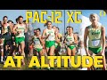 PAC-12 CHAMPIONSHIPS | OREGON CROSS COUNTRY