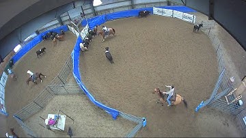 Big Sky Ranch Sorting Saddle Series #5 - #5 - Round #1 - Ride #12