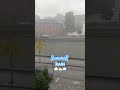 Ref:cV24goy4IhE Pluie d't  tournai un doux rafrachissement qui vient de france  #shorts