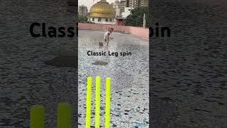 Classic Leg spin action