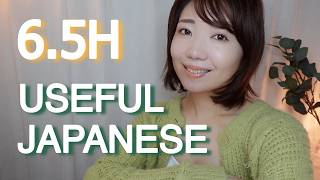 6.5 Hours of Useful Japanese for Travel & Sleep | Soft-Spoken Lessons in English screenshot 5