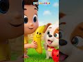 Silly Kids Adventure 😂  Fun Learning with BrightMind Kids #shorts #shortvideo  #kidsfun #kidsvideo