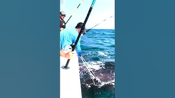 Chasing Ghosts | Part 8: The technique