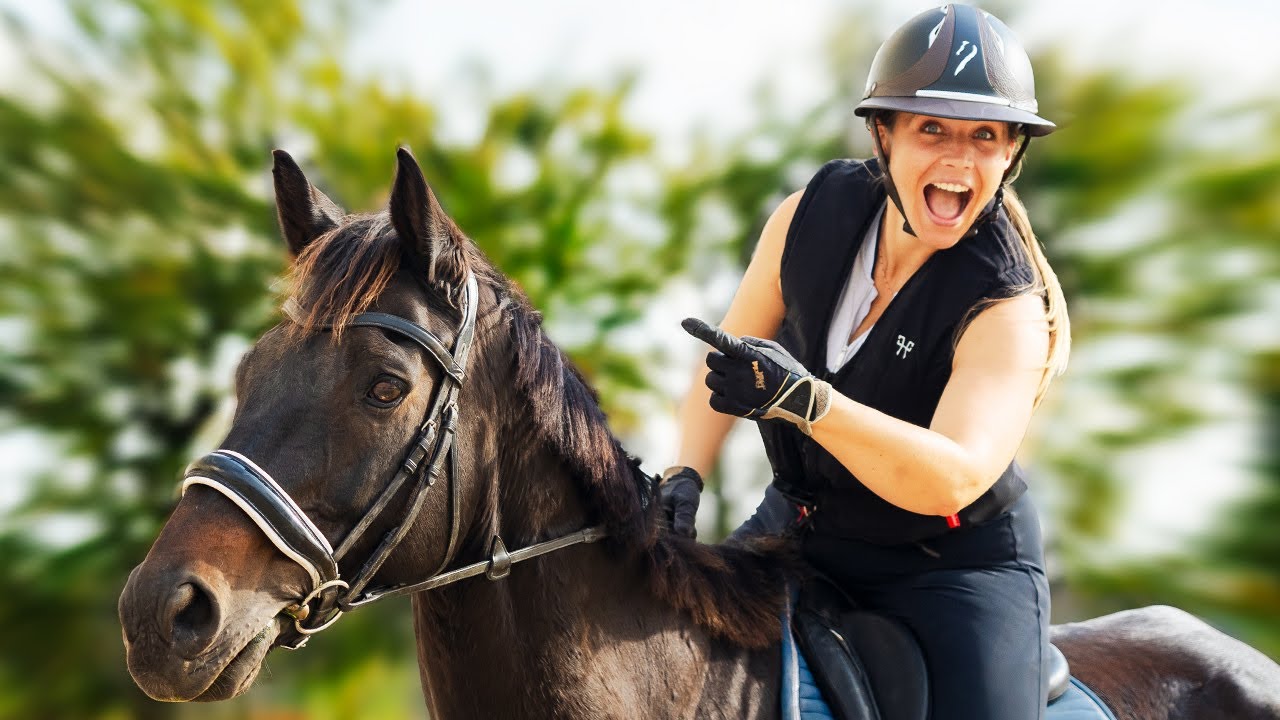 JE REMONTE MON CHEVAL APRÈS SA GUÉRISON ❤️‍🩹 Olandais is back !