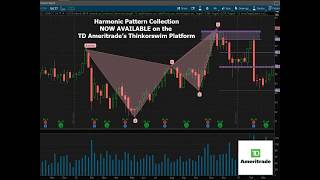 Harmonic Patterns for TDAmeritrade Thinkorswim with Scott Carney