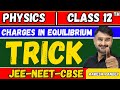 Charges in equilibrium  physics trickshortcut  coulomb law numerical  jeeneet  rakesh pandey