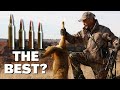 Predator Cartridges And Rifles You NEED To Know Predator Cartridges And Rifles You NEED To Know