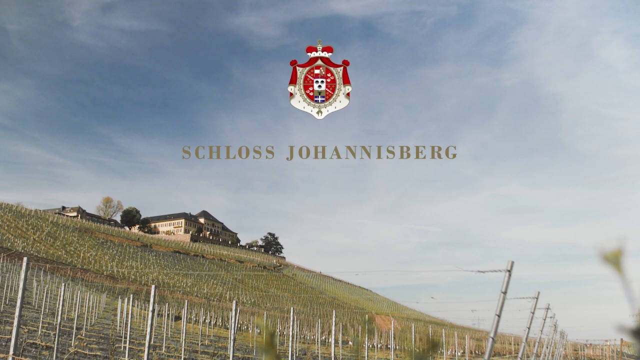 Weinprobe TERROIR VON SCHLOSS JOHANNISBERG mit Michel Städter, Leiter Weinbau