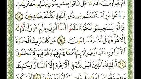 سورة هود 11 - 114  شيرزاد عبد الرحمن طاهر - قراءة مرتلة