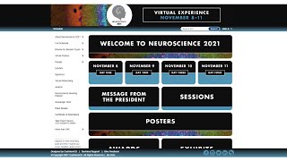 Virtual Neuroscience 2021 - Detailed Overview