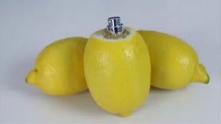How to make a Lemon and Lime Citrus Sprayers