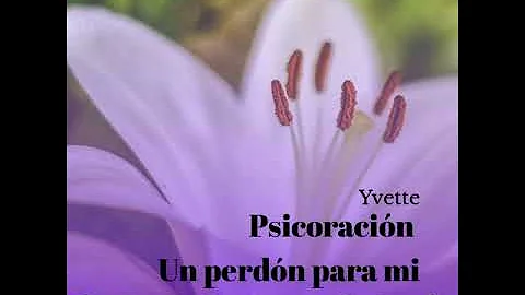 Un perdn para mi