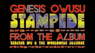 STAMPEDE by Genesis Owusu / Video lyric