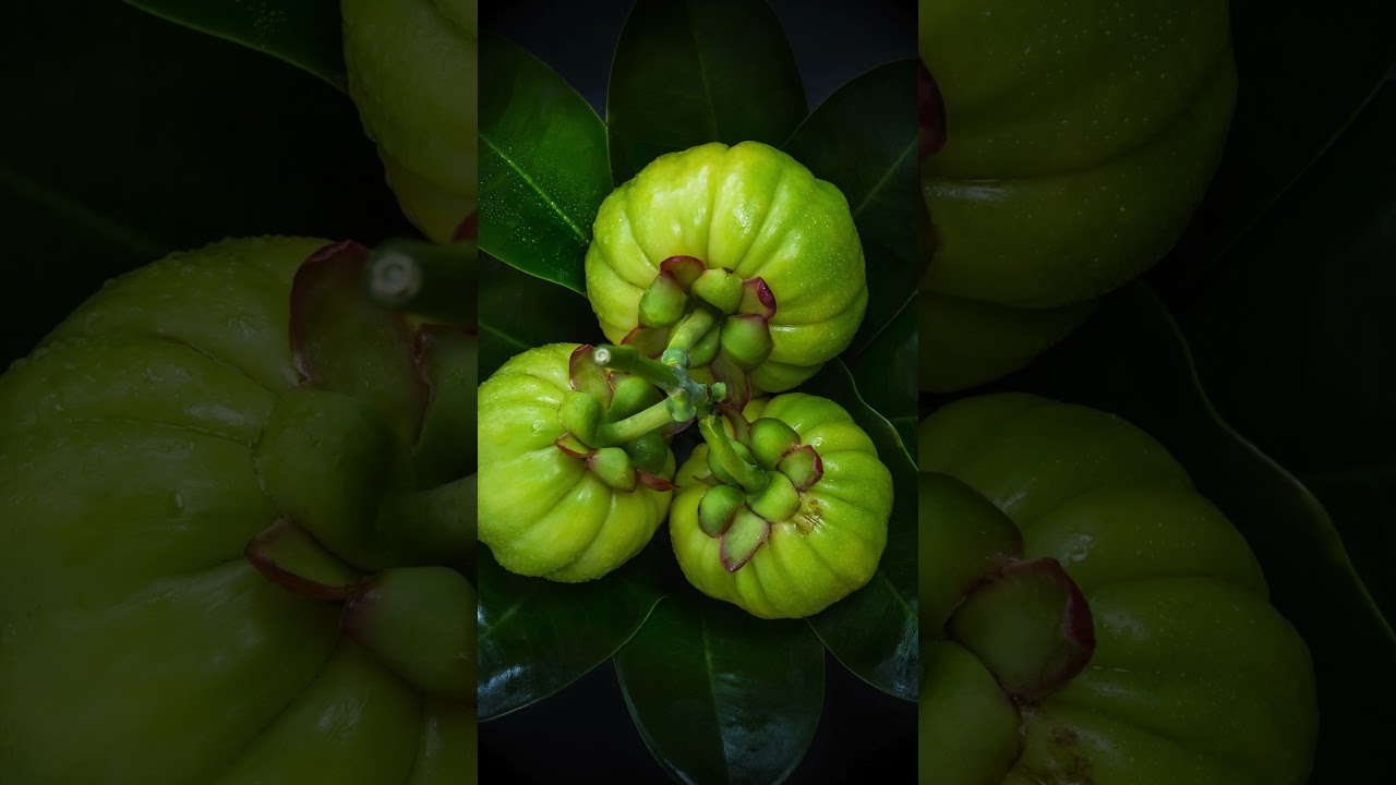 FAST LEAN PRO  WEIGHT LOSS SUPPLEMENT…….