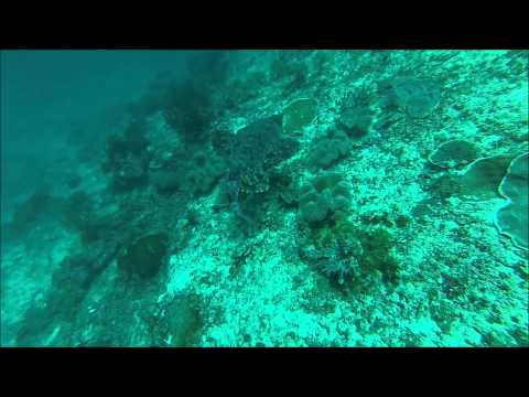 Diving on Friwan Bonda, Raja Ampat, Indonesia