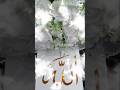 ⭐allah✨.inkyvibesarabic #new #trending #viral #vlog #shorts #allah #explore #fyp #اللہ #diy #youtube