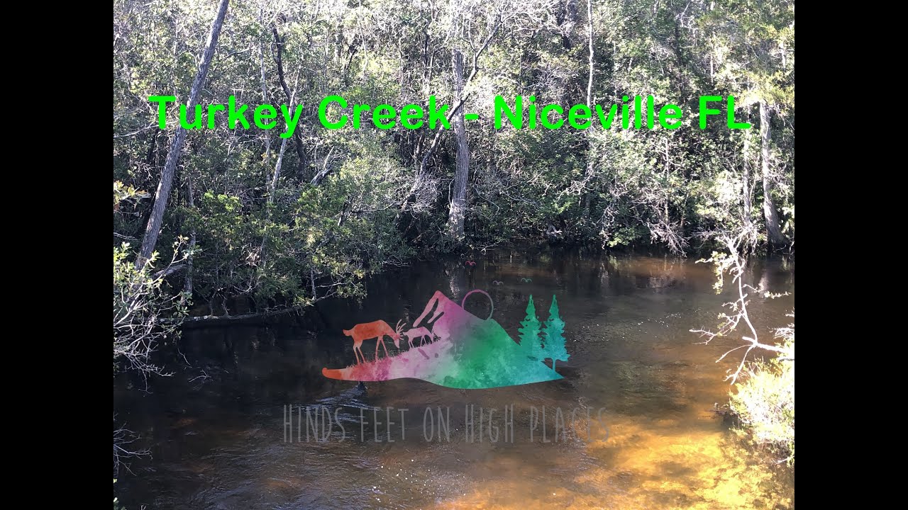 Turkey Creek Boardwalk Niceville FL. YouTube