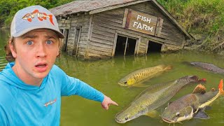 Aku Menemukan Tambak Ikan Terbengkalai!