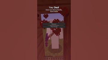 When the pickaxe you throw away comes to life #shorts