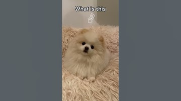 Mobile game ads be like pt.2